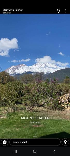 Angel cottage with a sauna or The Cozy with a jacuzzi tub, both are studios with a view of Mount Shasta